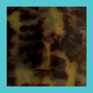 Shiny Tortoiseshell/Shiny Turquoise