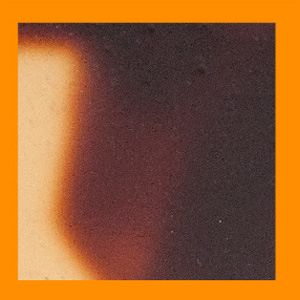 Shiny Tokyo Tortoiseshell/Shiny Miami Neon Orange