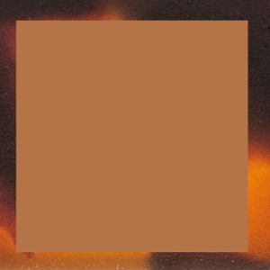 Shiny Translucent Cognac/Shiny Fawn Tortoise