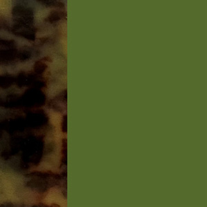 Shiny Translucent Khaki/Shiny Tortoiseshell