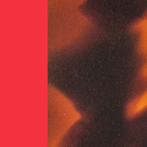 Shiny Fawn Tortoiseshell/Shiny Red