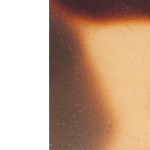 Shiny Tokyo Tortoiseshell/Shiny White