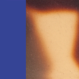 Shiny Tokyo Tortoiseshell/Shiny Majorelle Blue