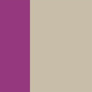 Shiny Tawny Gray/Shiny Translucent Purple