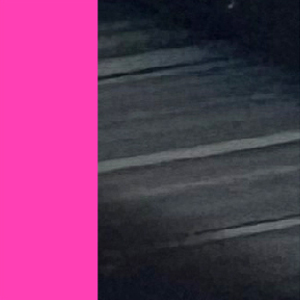 Shiny Black Horn/Shiny Neon Pink