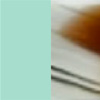 Turquoise Opal Shiny/Horn Blonde Shiny