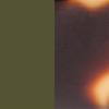 Khaki Opal Shiny/Tortoiseshell Khaki Shiny