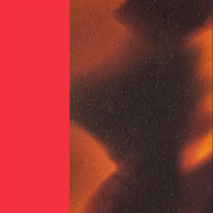 Red Shiny/Tortoiseshell Fawn Shiny