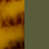 Tortoiseshell Tortoise Matte/Khaki Satin