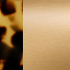 Gold Yellow Blade Polished/Tortoiseshell Tokyo Shiny