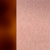 Or Rose Polished/Tortoiseshell Blonde Shiny