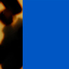 Blue Majorelle Satin/Tortoiseshell Tokyo Shiny