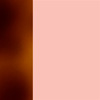 Salmon Satin |Shears Blonde Shiny