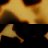 Tortoiseshell Tokyo Shiny/Tortoiseshell Tokyo Matte