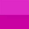 Fuchsia Translucent Shiny/Fuchsia Translucent Matte