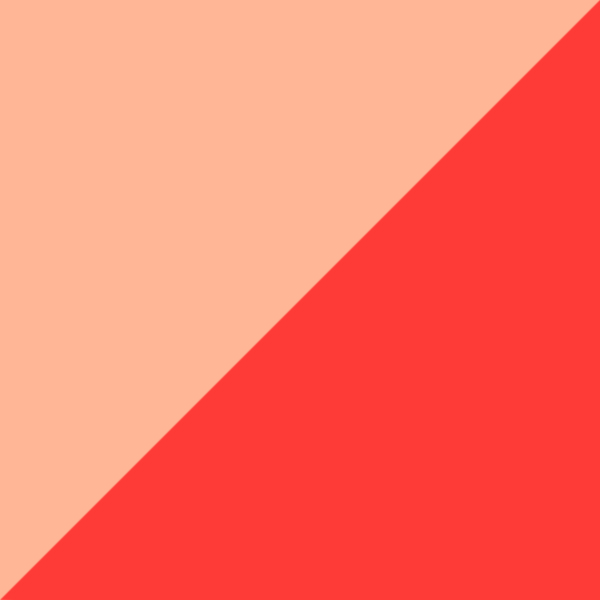 Nude Satin|Orange Fluorescent Miami Shiny