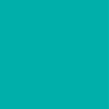 Mint Translucent Shiny