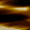 Tortoiseshell Flame Shiny