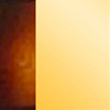 Or Yellow Polished/Tortoiseshell Cherry Shiny
