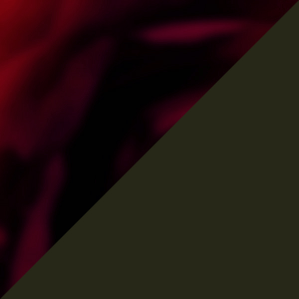 Kaki Translucide Brillant/Écaille Cerise Brillant