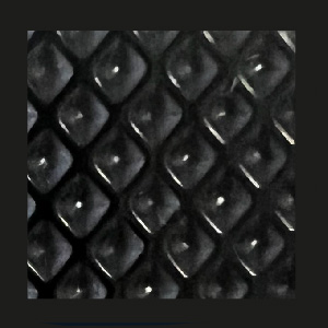 Shiny Black Diamond Tips/Shiny Black