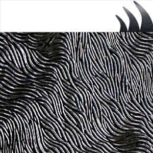 Astrakan Black Shiny/Ruthenium
