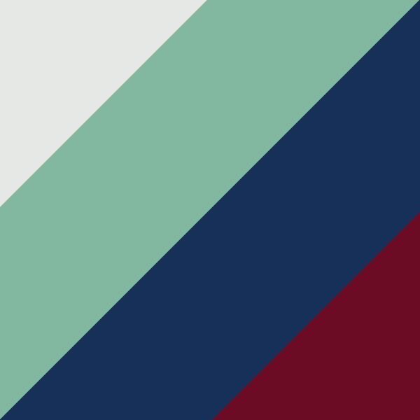 Blanc Brillant/Color Painted Brillant