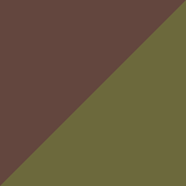 Brun Translucide Brillant/Kaki Translucide Mat