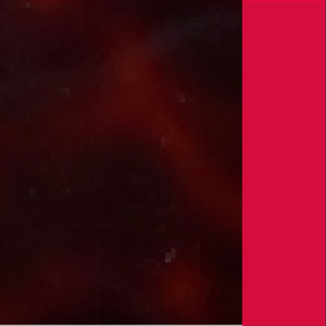 Shiny Cherry Tortoise/Shiny Red