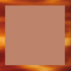 Shiny Translucent Brown/Shiny Blonde Tortoiseshell