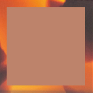 Shiny Translucent Brown/Shiny Fawn Tortoiseshell