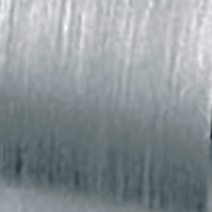 Polished Ruthenium