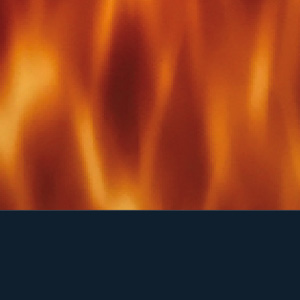 Shiny Blonde Veined Tortoiseshell/Satin Midnight Blue