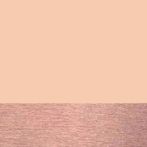 Shiny Nude/Polished Rose Gold