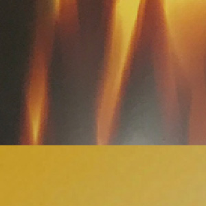 Shiny Dark Veined Tortoiseshell/Polished Pale Gold