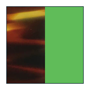 Shiny Veined Tortoise/Satin Neon Green