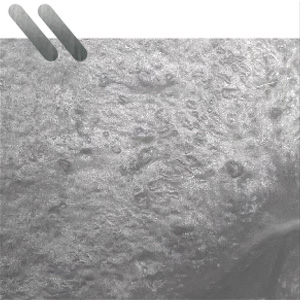 Matte Marbled Silver Gray/Ruthenium