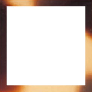 Shiny Crystal/Shiny Tokyo Tortoise