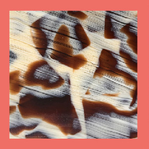 Shiny Blond Horn/Shiny Orange