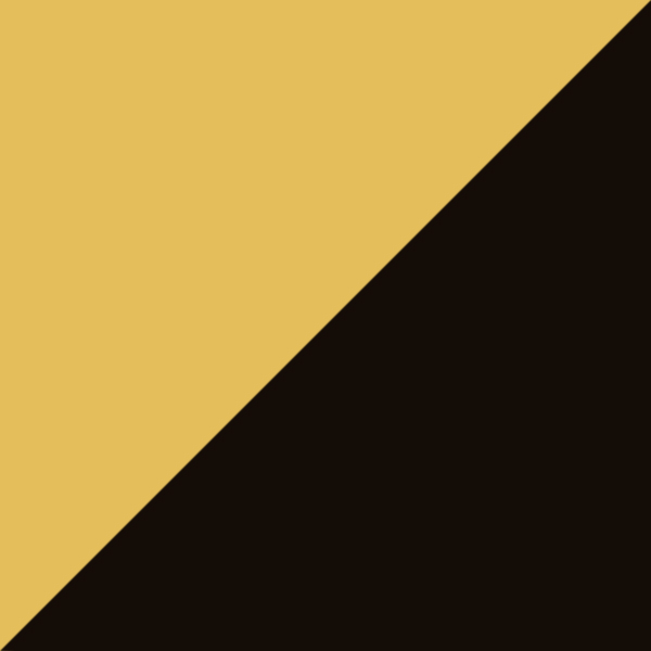 Écaille Tokyo Brillant/Noir Brillant