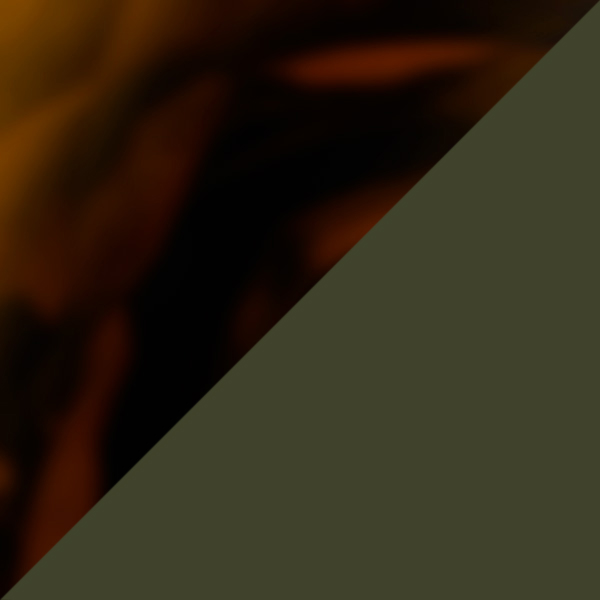 Brown Havana Khaki / Green Ion Polarized