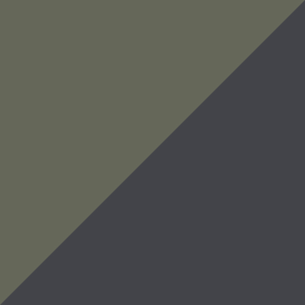 Olive Gray