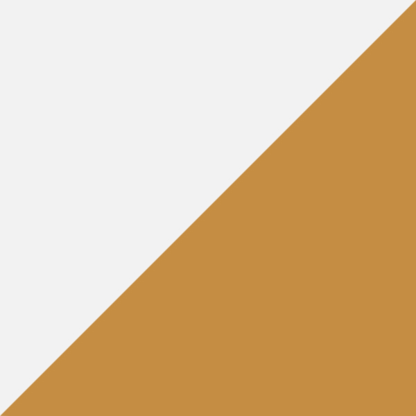 Matte White Gold / Gold Mirrored