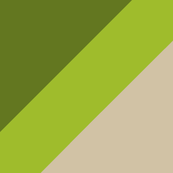 Pattern Green / Dark Gray Shaded