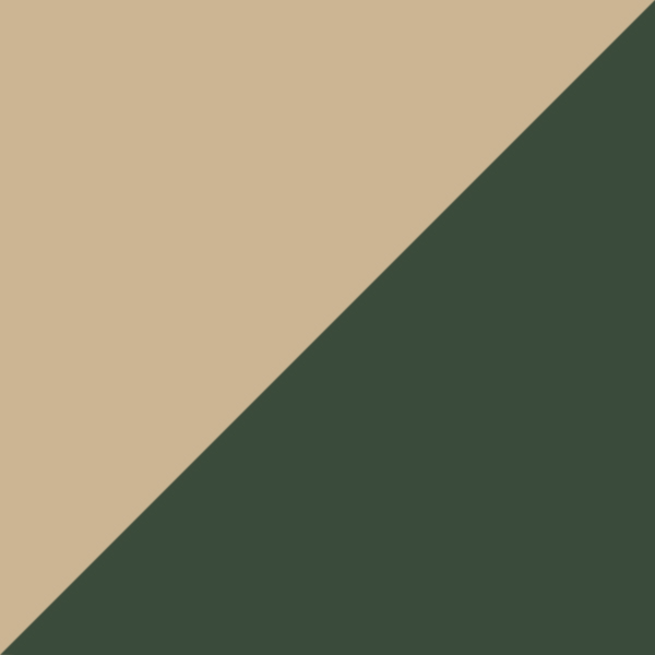 Gold Striped Green / Blue Mirrored