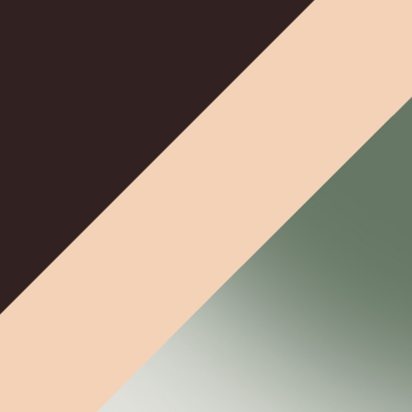 Havana Pattern Pink / Burgundy