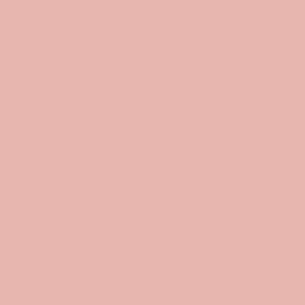 Matte Nude / Transparent